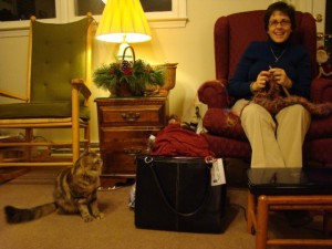 Wendy jane Carriker with cats and scarves